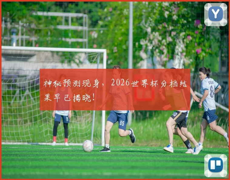 神秘预测现身，2026世界杯分档结果早已揭晓！