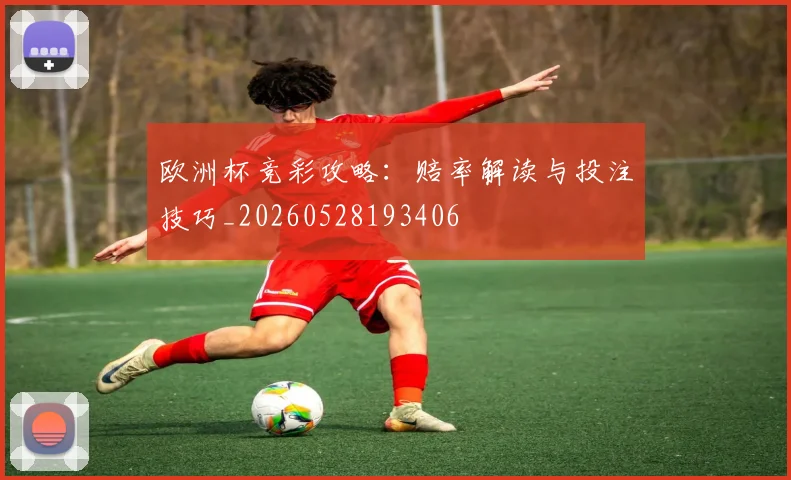 欧洲杯竞彩攻略:赔率解读与投注技巧_20260528193406